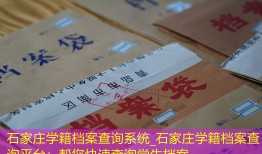 石家庄学籍档案查询系统_石家庄学籍档案查询平台：帮您快速查询学生档案