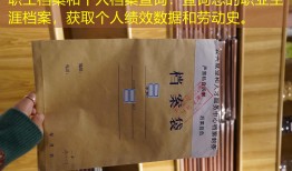 职工档案和个人档案查询：查询您的职业生涯档案，获取个人绩效数据和劳动史。
