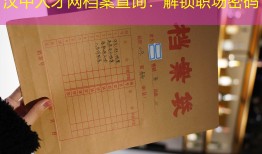 汉中人才网档案查询：解锁职场密码