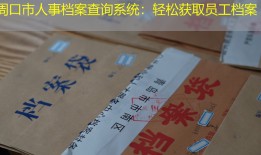周口市人事档案查询系统：轻松获取员工档案
