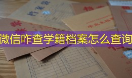 微信咋查学籍档案怎么查询
