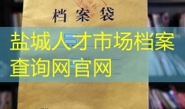盐城人才市场档案查询网官网