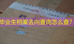 毕业生档案去向查询怎么查？