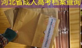 河北省成人高考档案查询