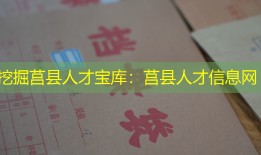 挖掘莒县人才宝库：莒县人才信息网
