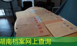 湖南档案网上查询