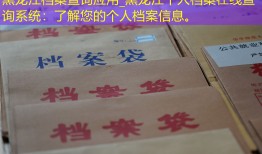 黑龙江档案查询应用_黑龙江个人档案在线查询系统：了解您的个人档案信息。