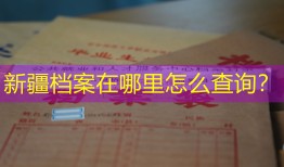 新疆档案在哪里怎么查询？