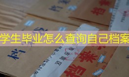 学生毕业怎么查询自己档案