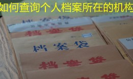 如何查询个人档案所在的机构
