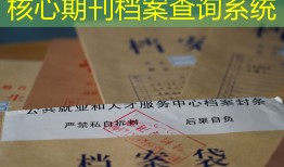 核心期刊档案查询系统