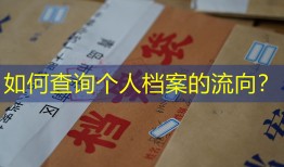 如何查询个人档案的流向？