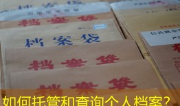 如何托管和查询个人档案？