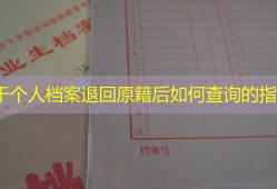 关于个人档案退回原籍后如何查询的指南