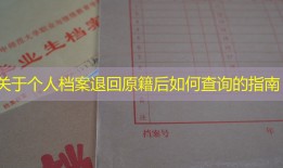 关于个人档案退回原籍后如何查询的指南