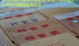 毕业档案小程序怎么查询_使用小程序查询个人毕业档案的实用方法