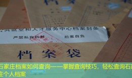 石家庄档案如何查询——掌握查询技巧，轻松查询石家庄个人档案