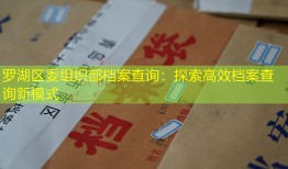 罗湖区委组织部档案查询：探索高效档案查询新模式