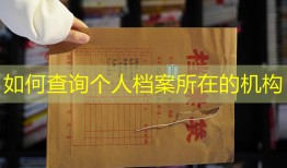 如何查询个人档案所在的机构