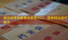 湖北自考档案查询系统入口：登录网站进行操作