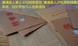 漳浦县人事人才网档案查询_漳浦县人才档案在线查询系统：轻松获取个人档案信息
