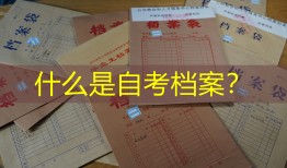 什么是自考档案？