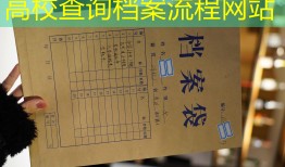 高校查询档案流程网站