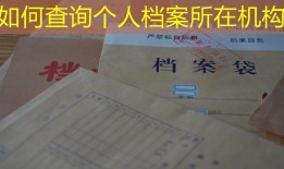 如何查询个人档案所在机构