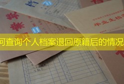 如何查询个人档案退回原籍后的情况？