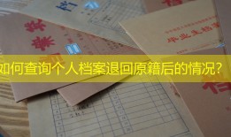 如何查询个人档案退回原籍后的情况？