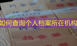 如何查询个人档案所在机构
