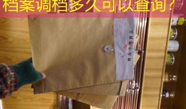 档案调档多久可以查询？