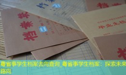 粤省事学生档案去向查询_粤省事学生档案：探索未来路向
