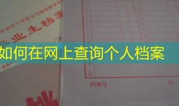 如何在网上查询个人档案