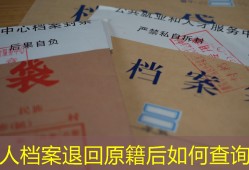 个人档案退回原籍后如何查询？