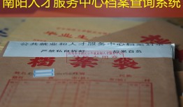 南阳人才服务中心档案查询系统