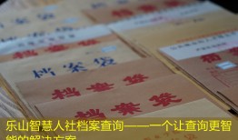 乐山智慧人社档案查询——一个让查询更智能的解决方案