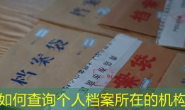 如何查询个人档案所在的机构