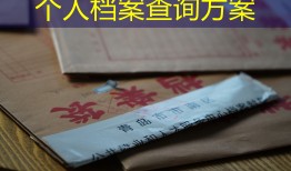 个人档案查询方案