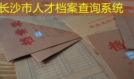 长沙市人才档案查询系统