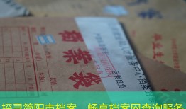探寻简阳市档案，畅享档案网查询服务