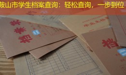 鞍山市学生档案查询：轻松查询，一步到位