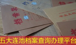 五大连池档案查询办理平台