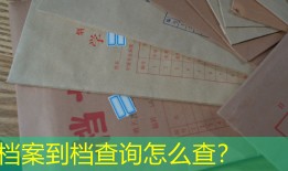 档案到档查询怎么查？