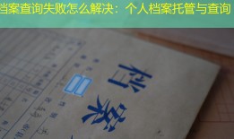 档案查询失败怎么解决：个人档案托管与查询