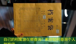 自己的档案袋在哪查询？教你如何查询个人档案袋