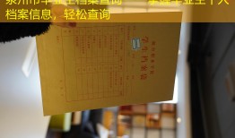 泉州市毕业生档案查询——掌握毕业生个人档案信息，轻松查询