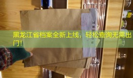黑龙江省档案全新上线，轻松查询无需出门！