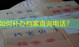 如何补办档案查询电话？