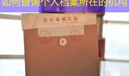 如何查询个人档案所在的机构